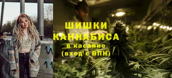 стаф Балахна