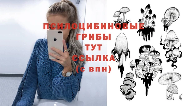 винт Аркадак