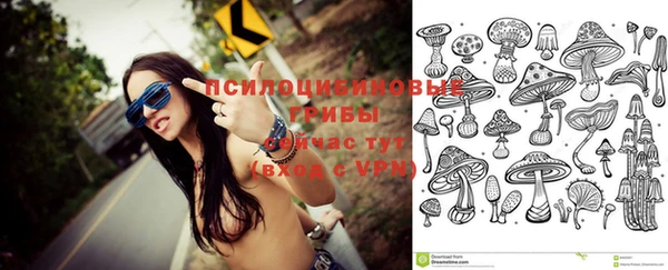 стаф Балахна