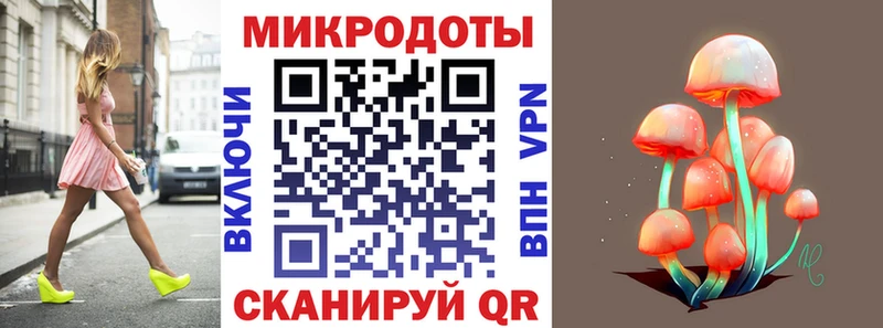 МЕГА как войти  Темников  Псилоцибиновые грибы мицелий 